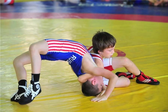 Новые борцовские ковры поступили для юных спортсменов Чувашии