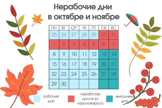 Об осуществлении закупок в нерабочие дни с 30 октября по 7 ноября 2021 г.