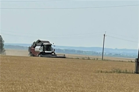 КФХ "Ямуков Г.Н." одним из первых в районе вышло на уборку урожая озимых культур