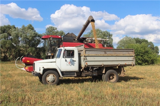 Уборка урожая зерновых в СХПК "Шигали"