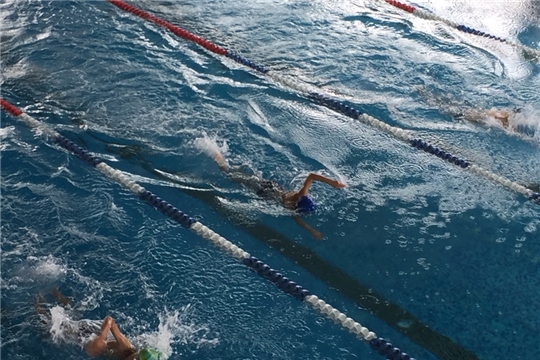 Соревнования по плаванию  в рамках районного праздника «День физкультурника»
