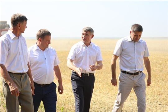 Олег Николаев: Валовый сбор зерновых культур обеспечит основные потребности республики в зерне