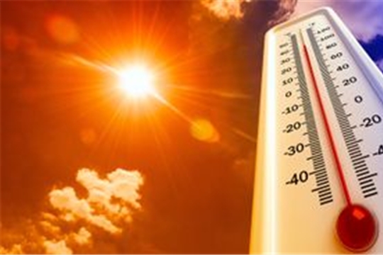 Как помочь организму в жару и что делать при палящем солнце