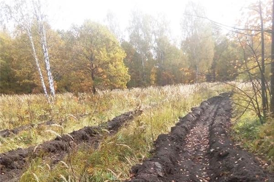 В Вурнарском лесничестве приступили к обработке почвы под лесные культуры будущего года