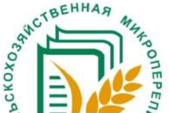 Итоги первой декады сельхозмикропереписи