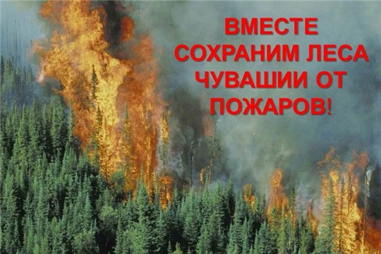 Сохранить леса от пожаров - наше общее дело!