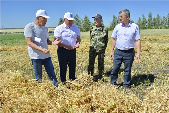 В Яльчикском районе стартовала уборочная кампания