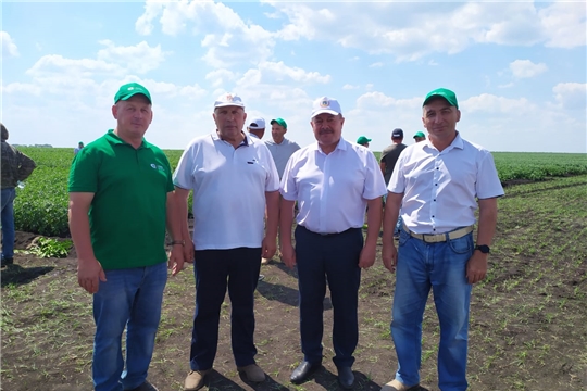 День картофельного поля в ООО "Агрофирма "Слава картофелю"