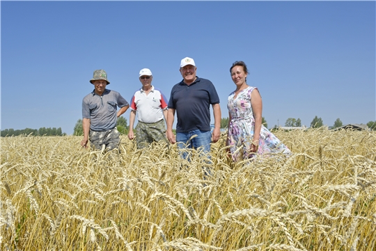 Глава администрации Яльчикского района Леонард Левый ознакомился с ходом уборки урожая в крестьянско-фермерских хозяйствах