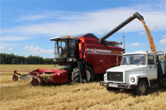 В СХПК "Комбайн" успешно завершили уборку зерновых и зернобобовых культур