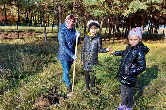 Акция по посадке деревьев объединила друзей природы всех возрастов