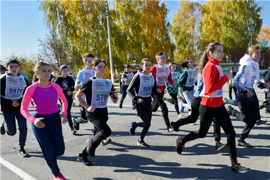 Кросс нации в Яльчикском районе