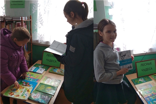 В Новоайбесинской сельской библиотеке прошел час экологии «Лес - наше богатство»