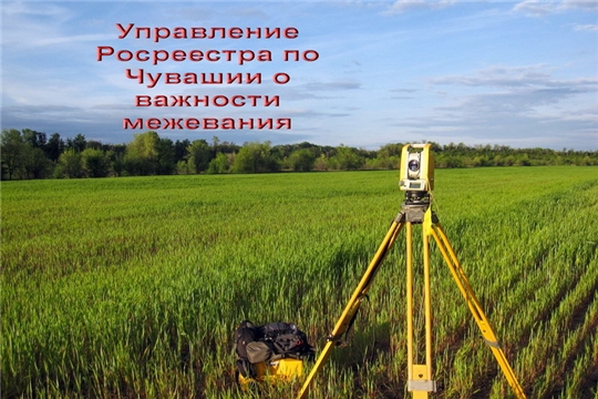 В Чувашии отмежевано только 42% земельных участков