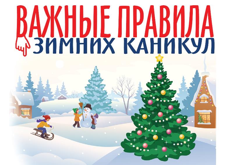 Безопасность ребенка во время зимних каникул | Аликовский район Чувашской  Республики