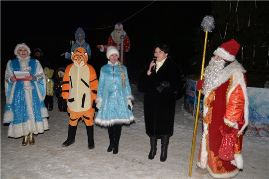 Открытие главной новогодней елки в Батыревском районе