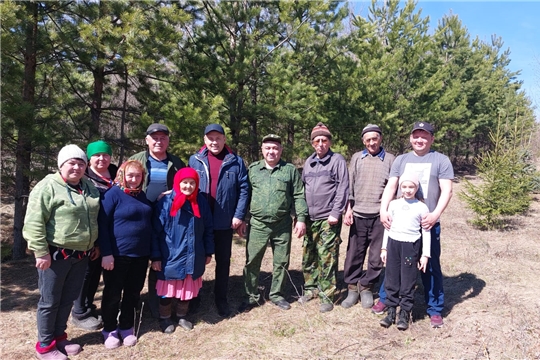 Посадка деревьев в Игоревском парке