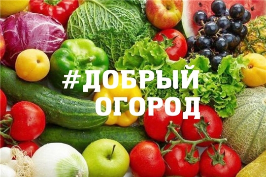 Старт всероссийской акции «Добрый огород»