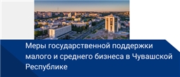Меры государственной поддержки малого и среднего бизнеса в Чувашской Республике