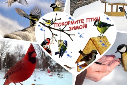 Объявлен республиканский детский экологический конкурс «Покорми птиц зимой – они послужат тебе весной»