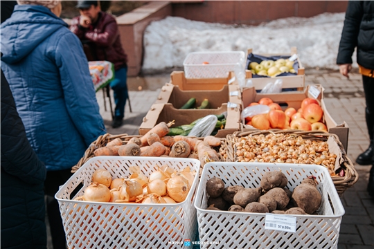 Чебоксарцы купили более 30 тонн сельхозпродукции на первых ярмарках выходного дня