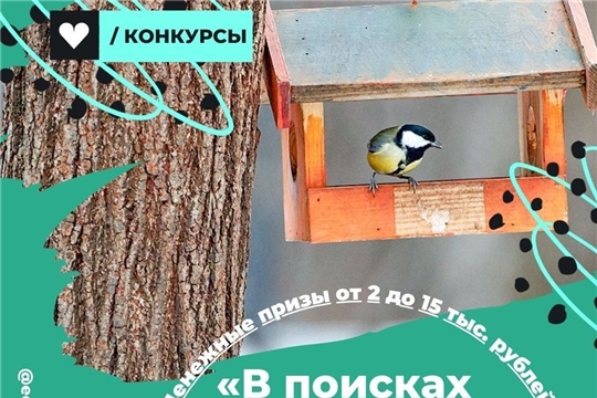 Стартовал всероссийский конкурс экостатей и видеоблогов «В поисках живого добра»