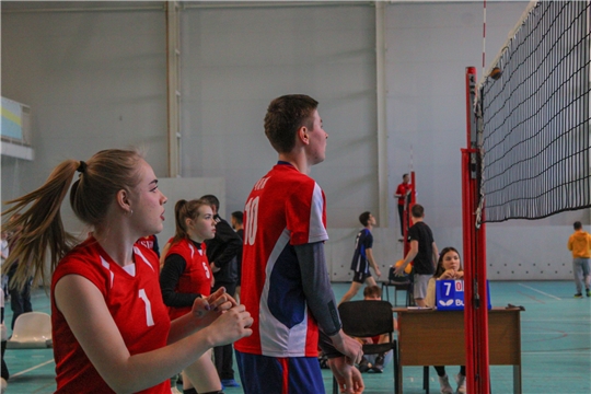 В Чебоксарах прошел турнир по волейболу среди команд студенческих советов