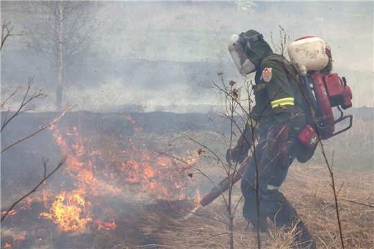 Открыт сбор средств для добровольных лесных пожарных 
