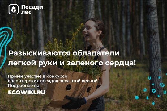 Россияне смогут получить премию за посадку леса
