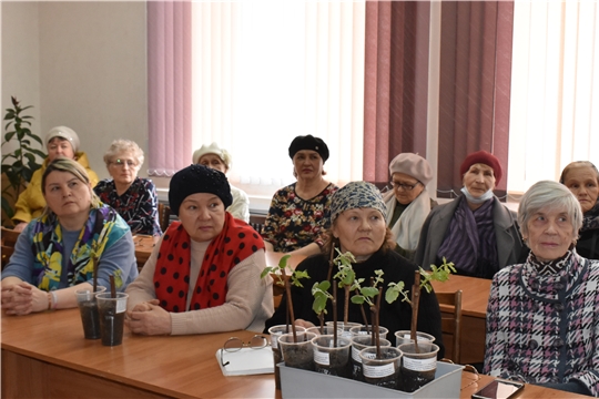 В Центральной библиотеке г. Канаш прошло занятие «Домашний виноградник»