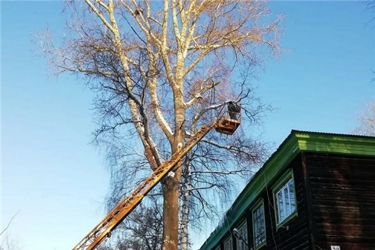 В Шумерле аварийные деревья, представляющие угрозу жизни горожан, ликвидируются в первоочередном порядке