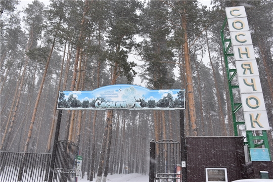 Рабочая группа в детском загородном лагере «Соснячок»