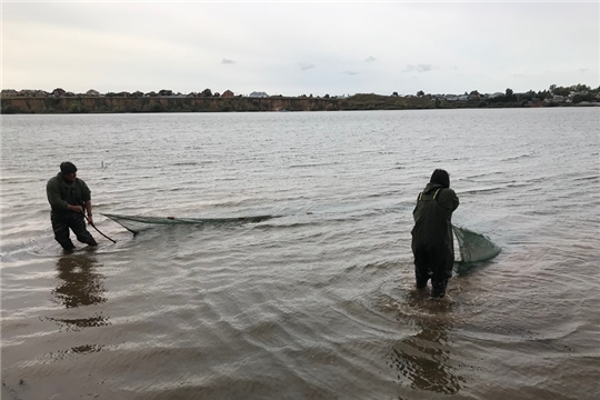 Допустимые уловы водных биологических ресурсов на Куйбышевском водохранилище