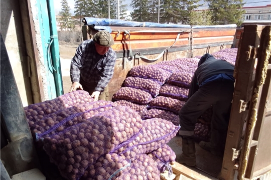 Фермеры Козловского района отправили картофель жителям Донбасса