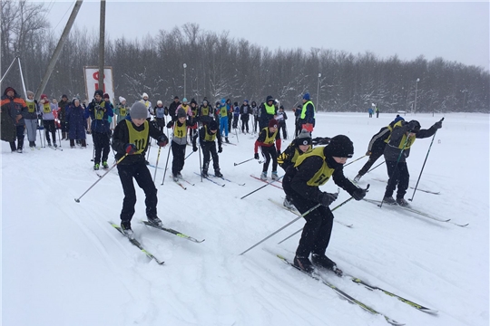 Состоялись соревнования по лыжным гонкам среди обучающихся общеобразовательных организаций Красноармейского  муниципального  округа 