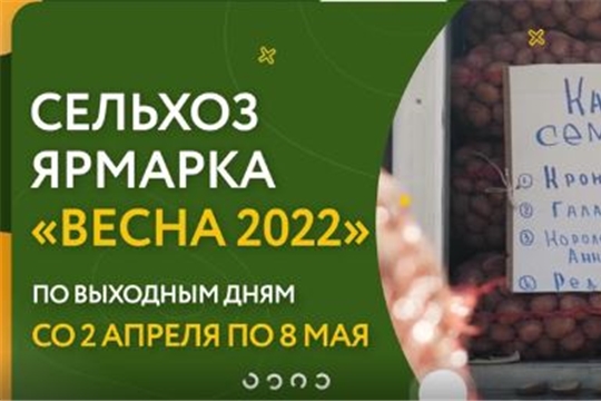 Сельская ярмарка - 2022