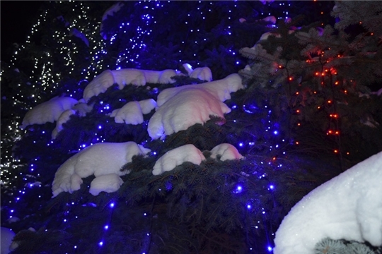 В Мариинско-Посадском районе стартует конкурс на лучшее световое оформление и благоустройство «Рождественское сияние»
