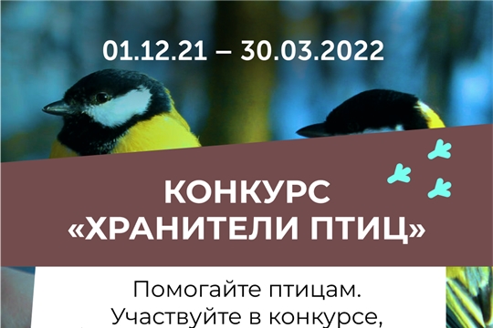 Ecowiki приглашает россиян спасти зимующих птиц от голода