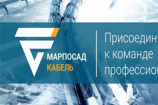 Работодатель АО «Марпосадкабель» заявил о готовности трудоустроить не только жителей республики, но и эвакуированных граждан ДЛНР и других территорий Украины