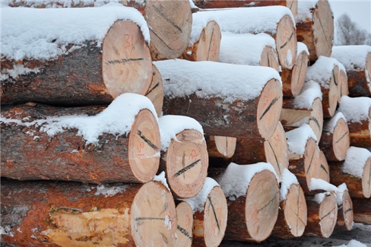 С 1 января 2022 года устанавливаются требования к размещению и  характеристикам складов древесины