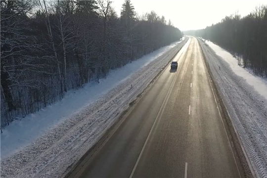 Компенсационное лесовосстановление при строительстве автомагистрали М-12