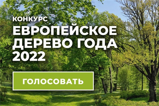 Стартовал международный конкурс «Европейское дерево года – 2022»