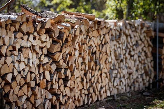 Рослесхоз разъясняет порядок приобретения древесины для собственных нужд