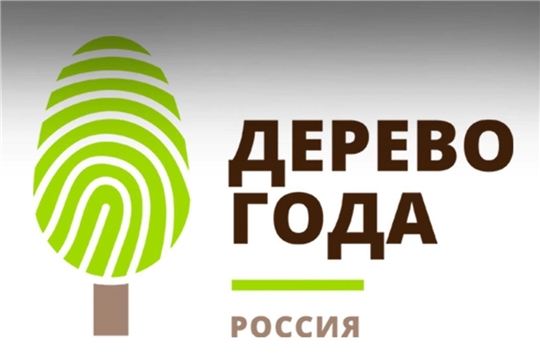 Жители Чувашии выберут Российское дерево 2022 года