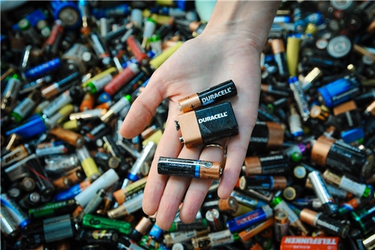 Правила сдачи батареек и других опасных отходов хотят закрепить законом