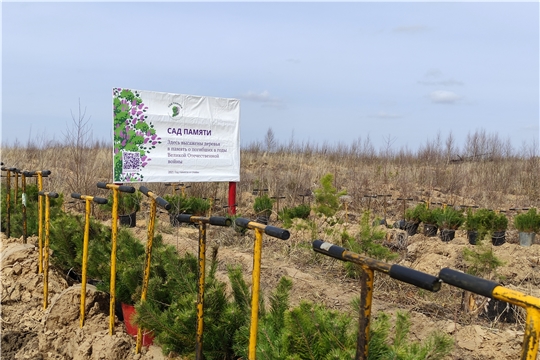 В рамках акции «Сад памяти» в Чувашии высадят более 60 тысяч деревьев