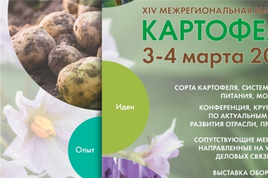 Открыт приём заявок на участие в ХIV межрегиональной выставке «Картофель-2022»