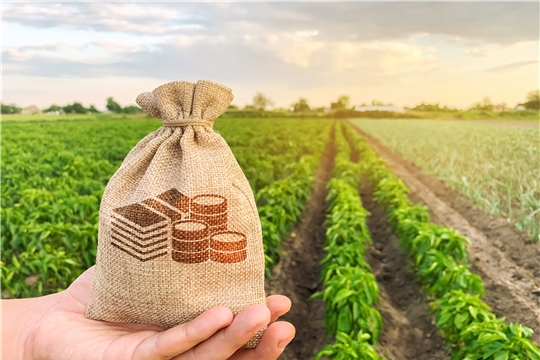В 2021 году чувашские аграрии получили 1,1 млрд руб. господдержки на условиях софинансирования