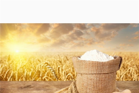 Вывоз зерна и сахара за пределы страны запрещен