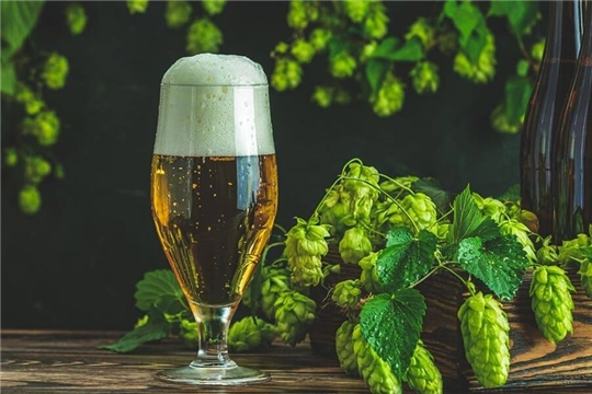 Глава Чувашской Республики назвал пиво «Букет Чувашии» лучшим в стране